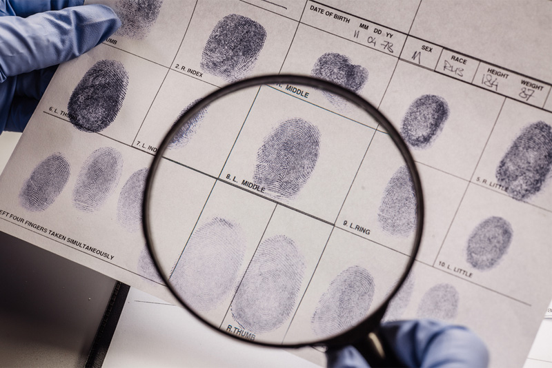 Investigative Forensics